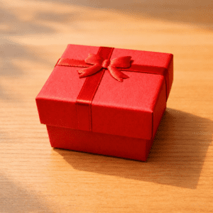 Premium ring Gift Box with Elastic Ribbon Bow (24 pcs)
